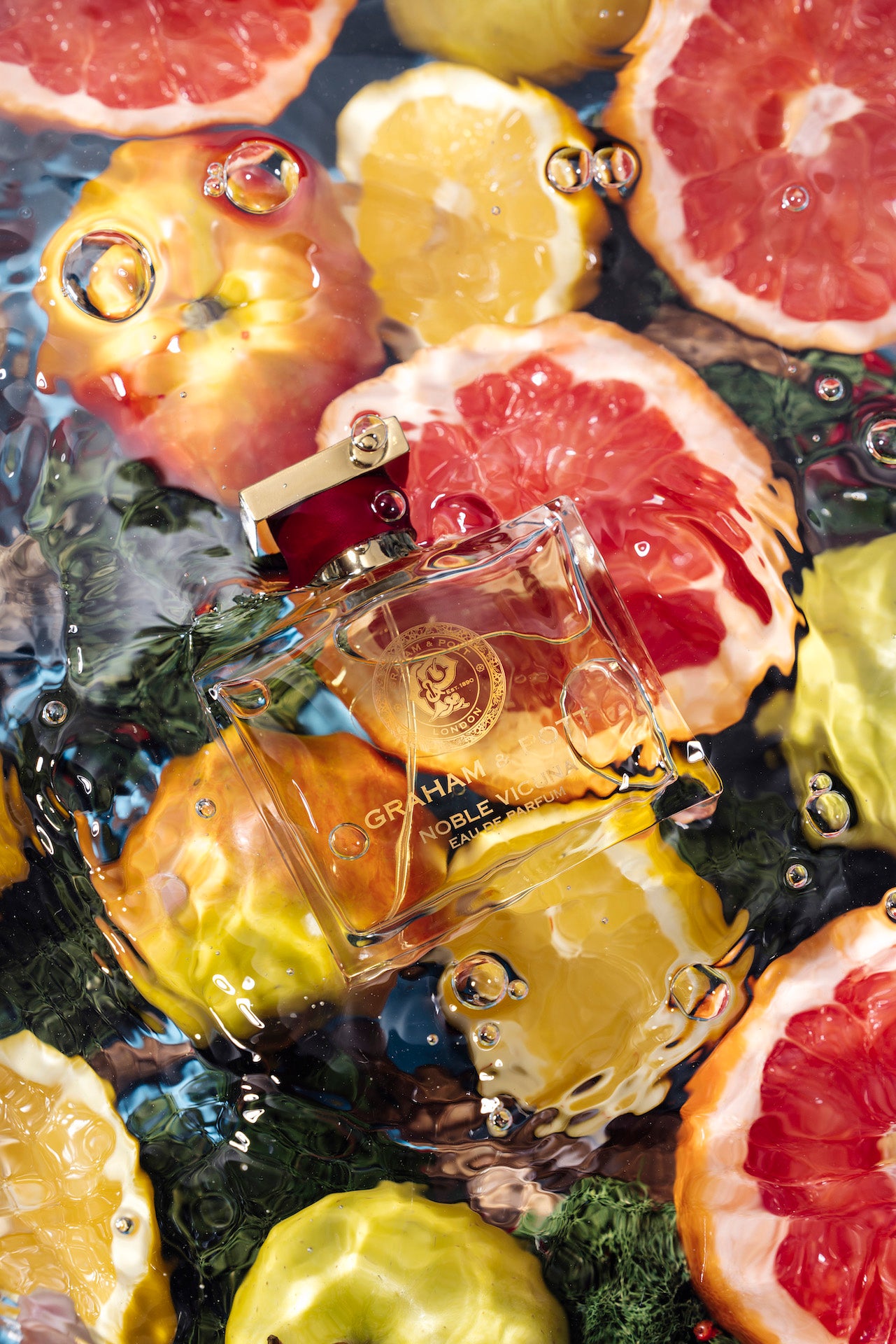 NOBLE VICUNA - GRAHAM & POTT