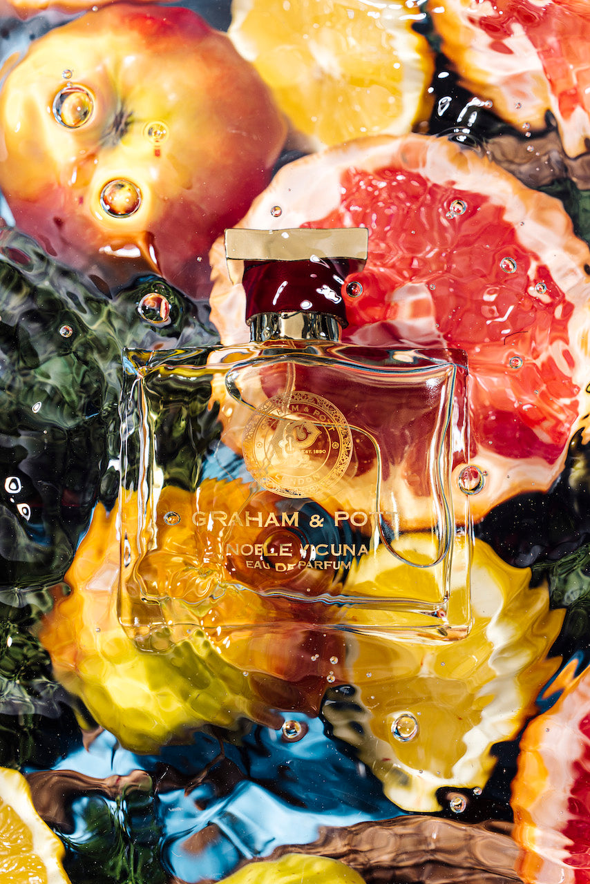 NOBLE VICUNA - GRAHAM & POTT