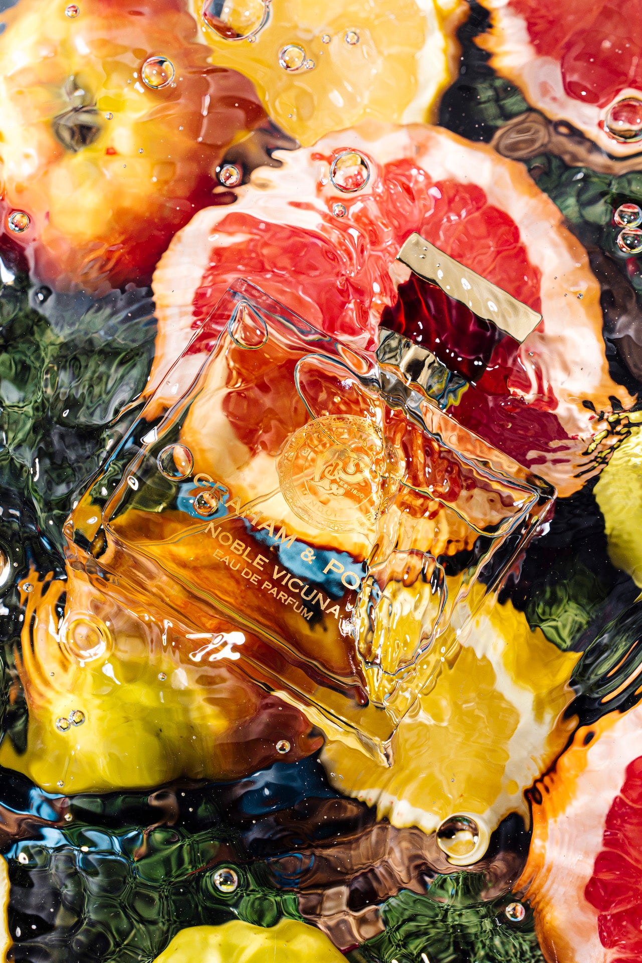 NOBLE VICUNA - GRAHAM & POTT