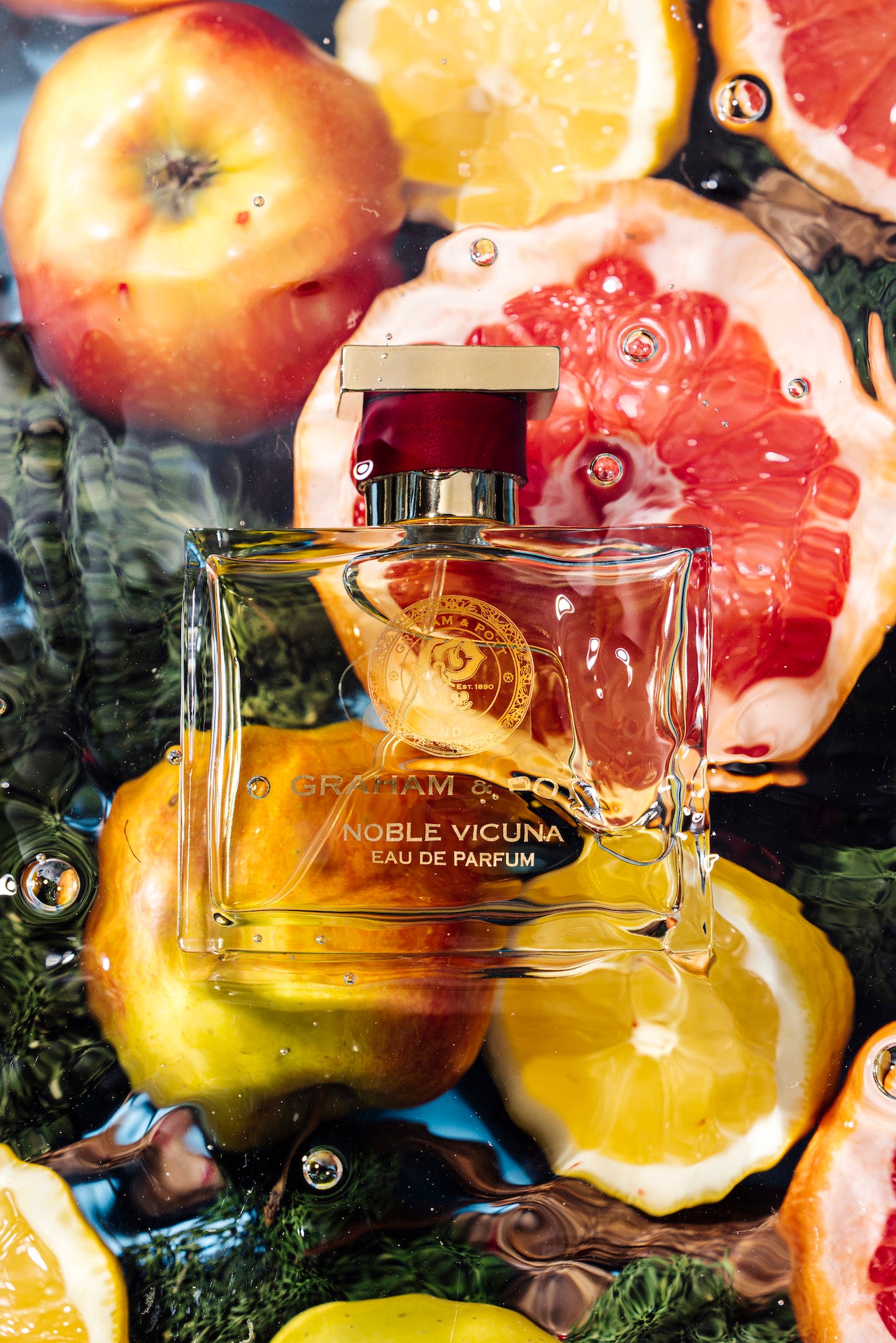 NOBLE VICUNA - GRAHAM & POTT