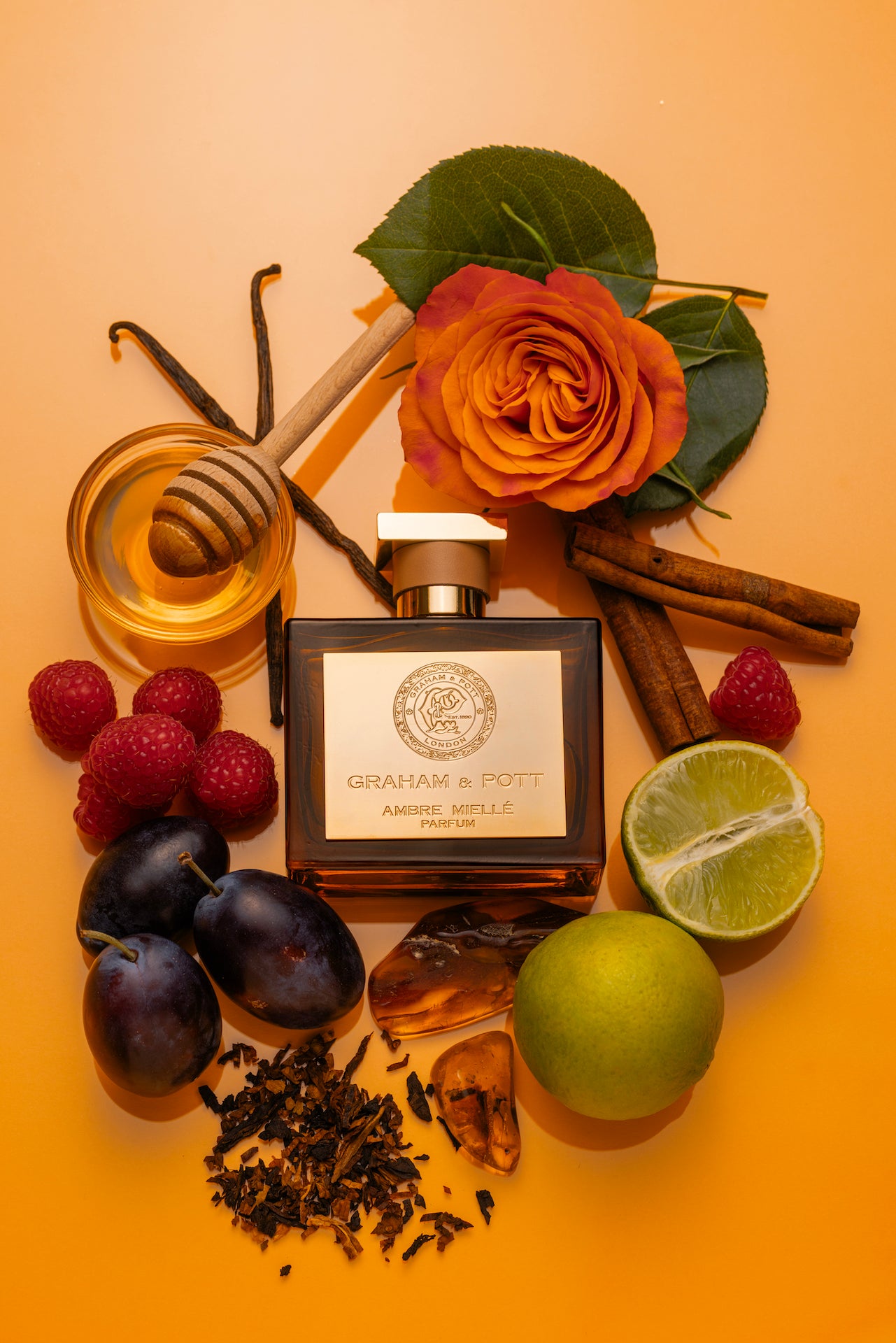 AMBRE MIELLÉ - GRAHAM & POTT