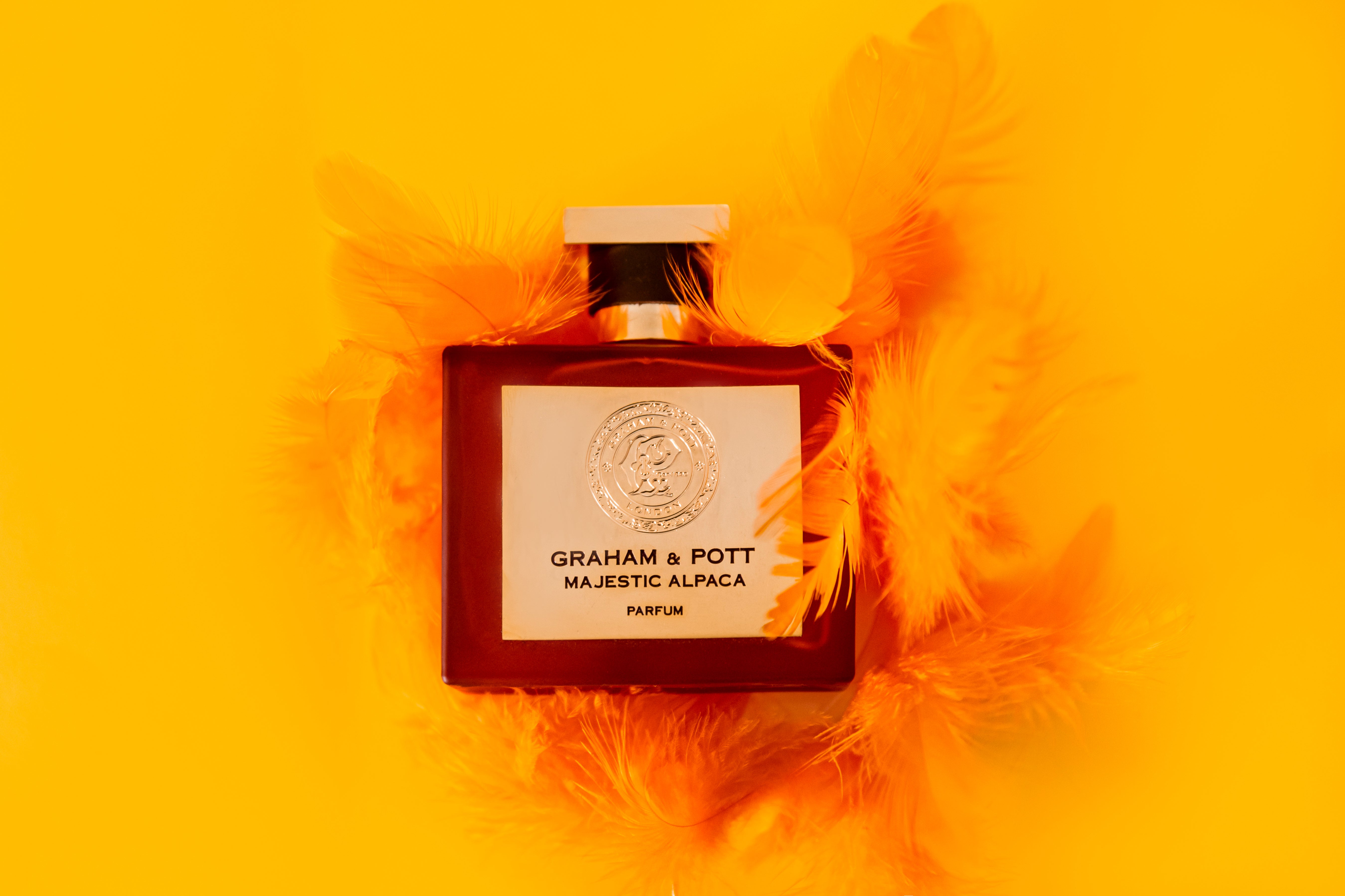 MAJESTIC ALPACA | The Art of Brilliance | GRAHAM & POTT®