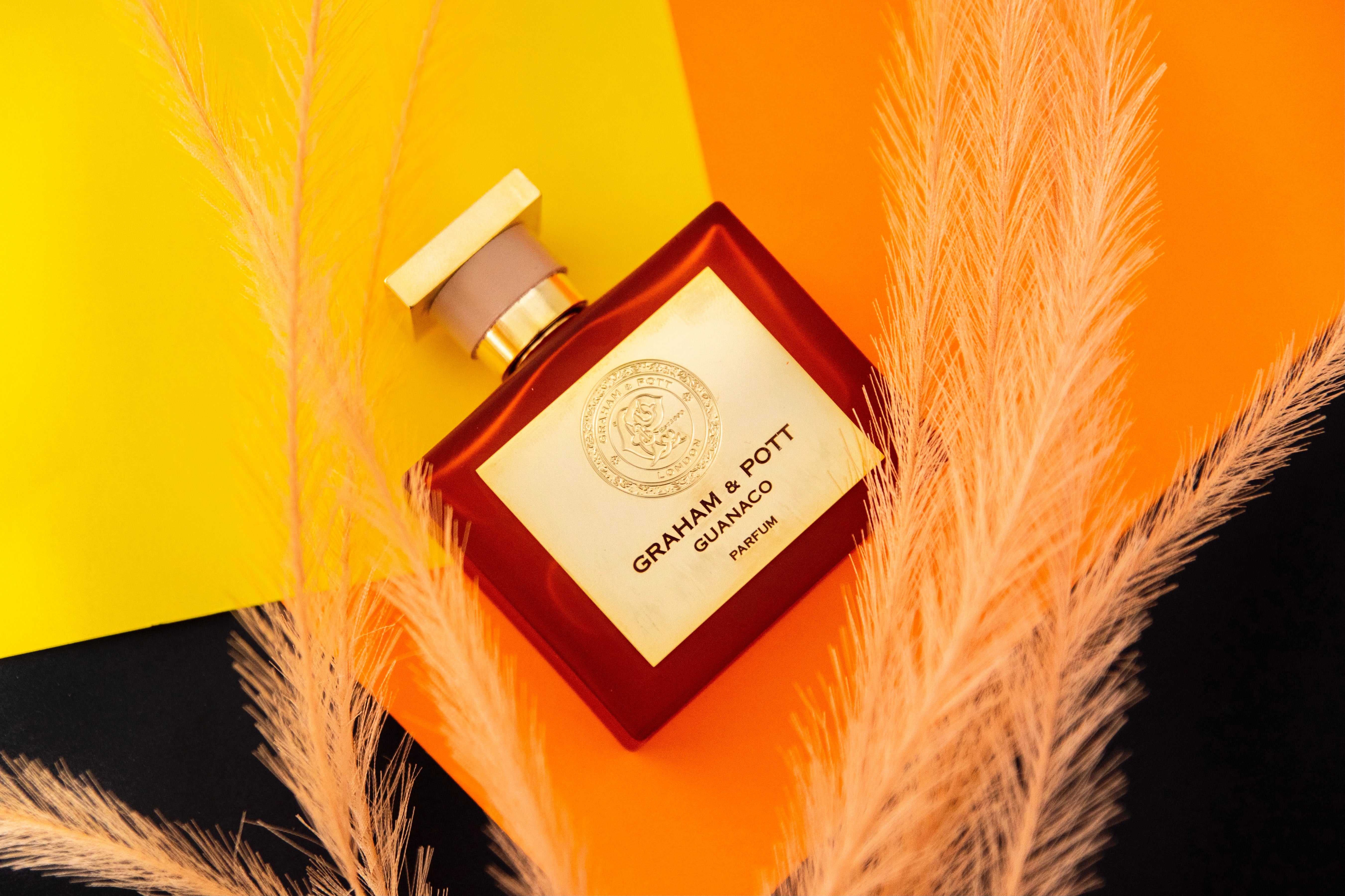 GUANACO | GRAHAM & POTT® | The Art of Brilliance